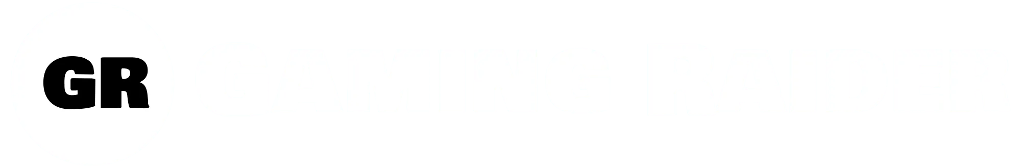 Gaming Raider